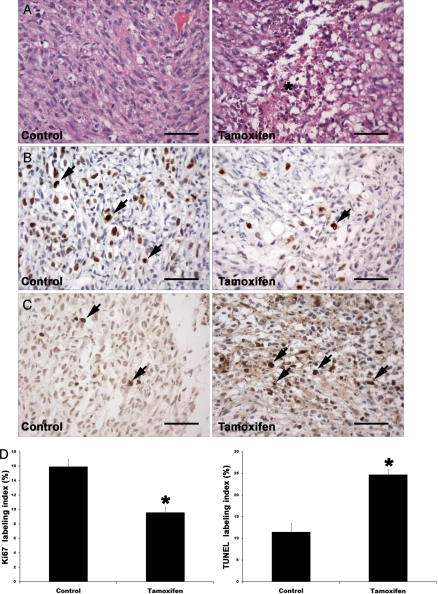 Fig. 7.