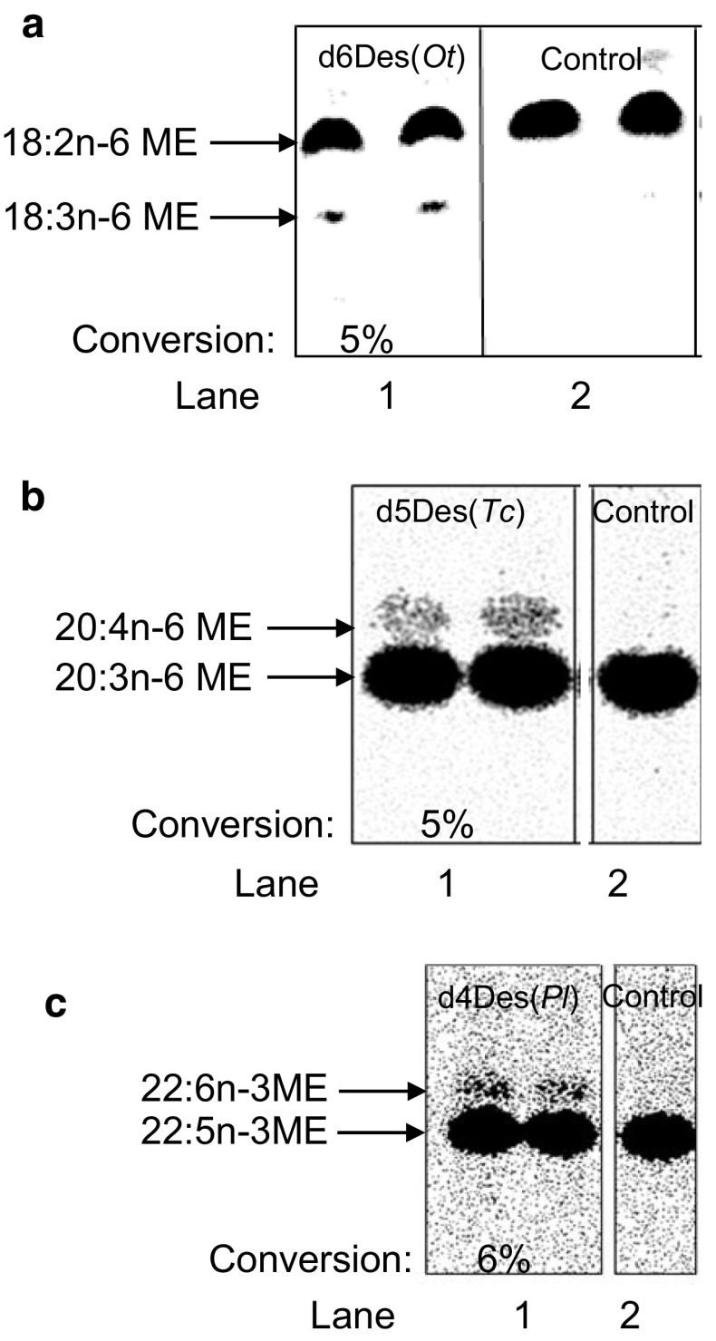 Fig. 5