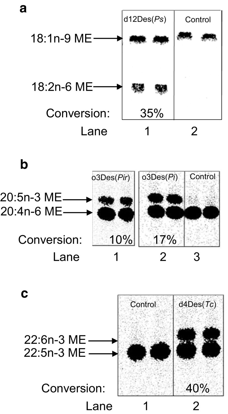 Fig. 4