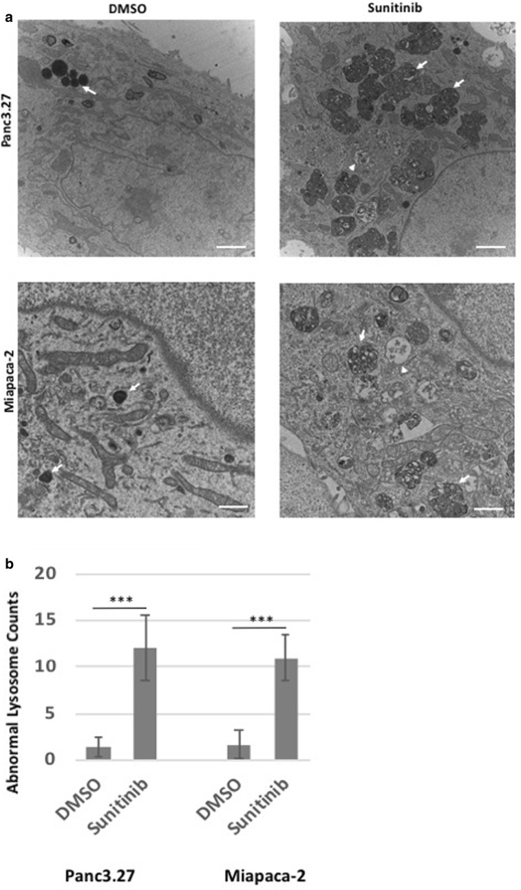 Fig. 4