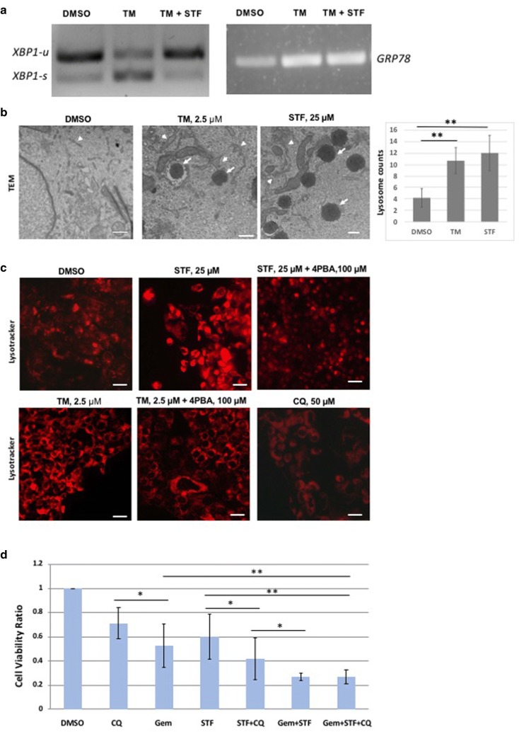 Fig. 2