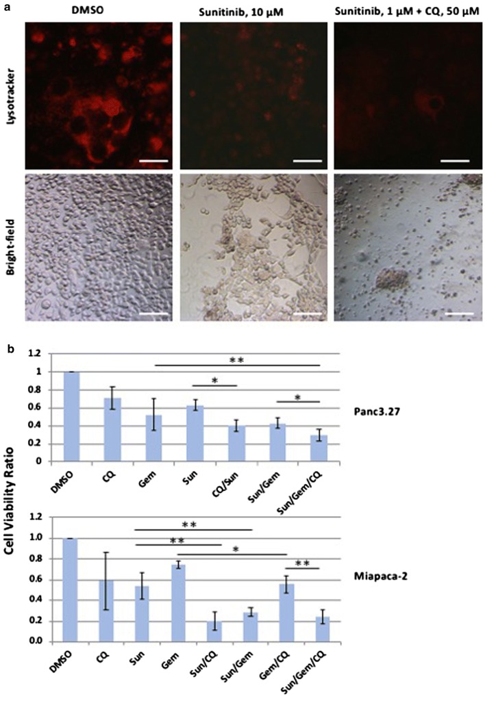 Fig. 3