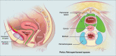 Figure 13: