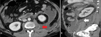 Figure 10:
