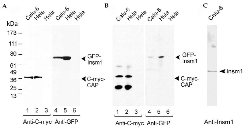 FIG. 7