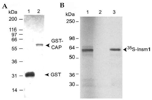 FIG. 6