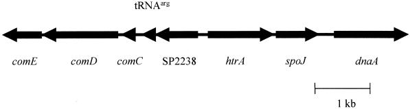 FIG. 5.