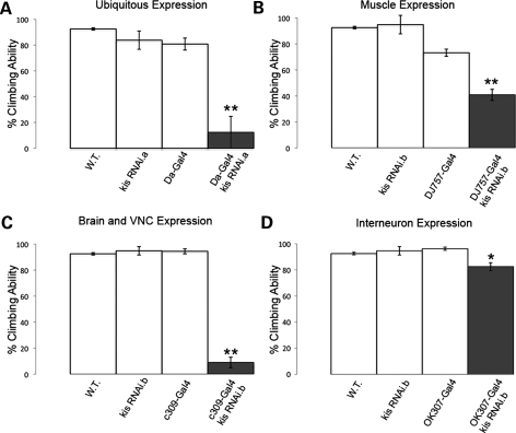 Figure 2.