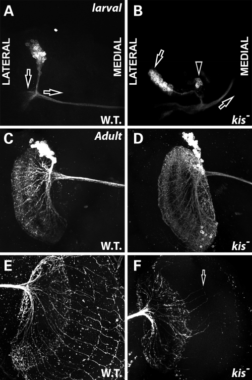 Figure 6.