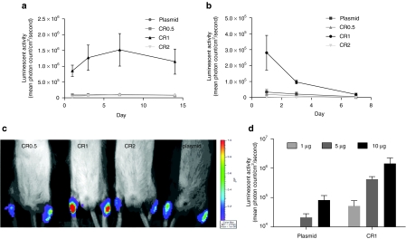 Figure 5