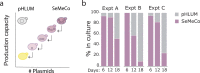 Extended Data Fig. 4