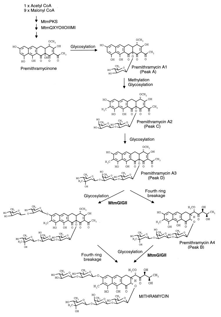 FIG. 5