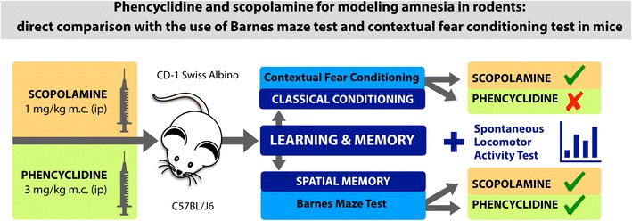 Graphical Abstract