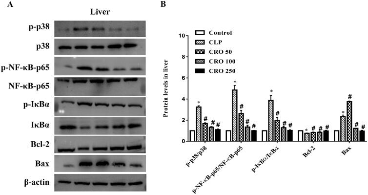 Figure 7.