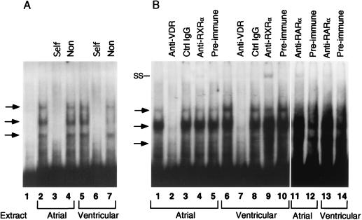 FIG. 10
