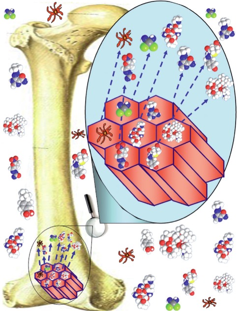 Figure 1.