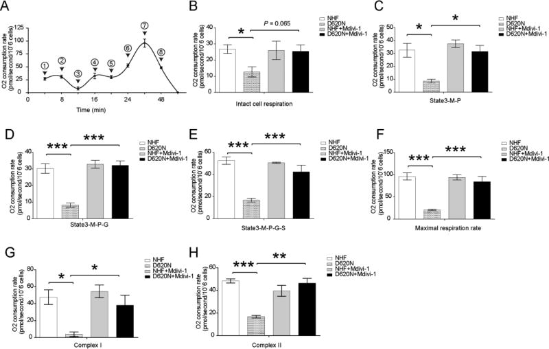 Figure.1