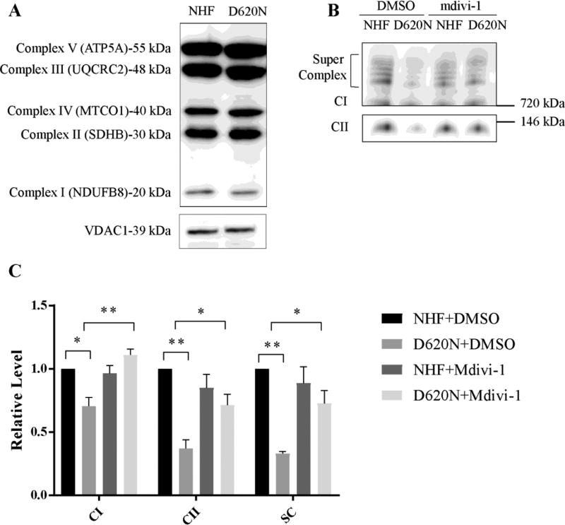 Figure.3