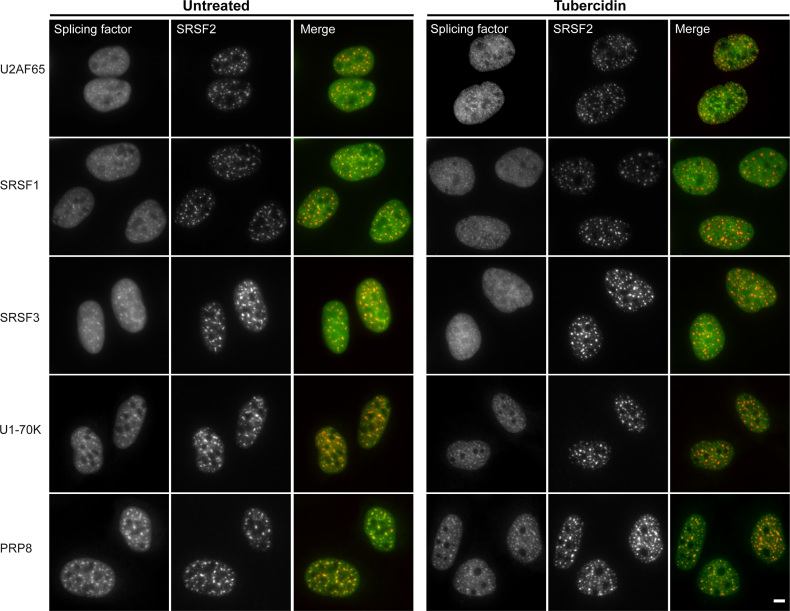 Figure 11.