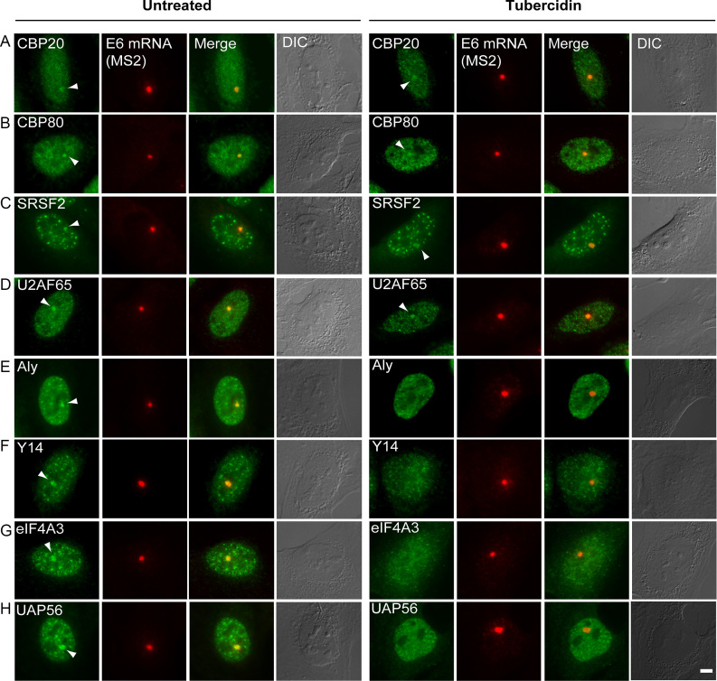 Figure 12.