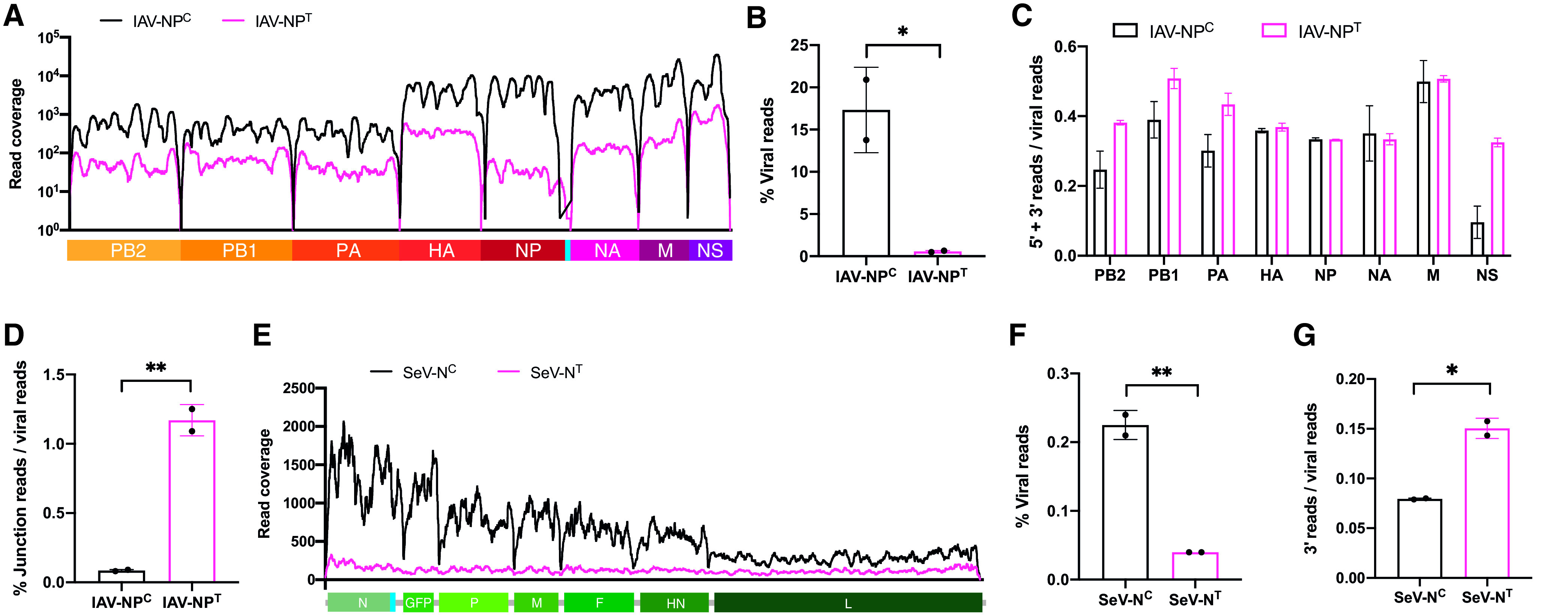 FIG 2