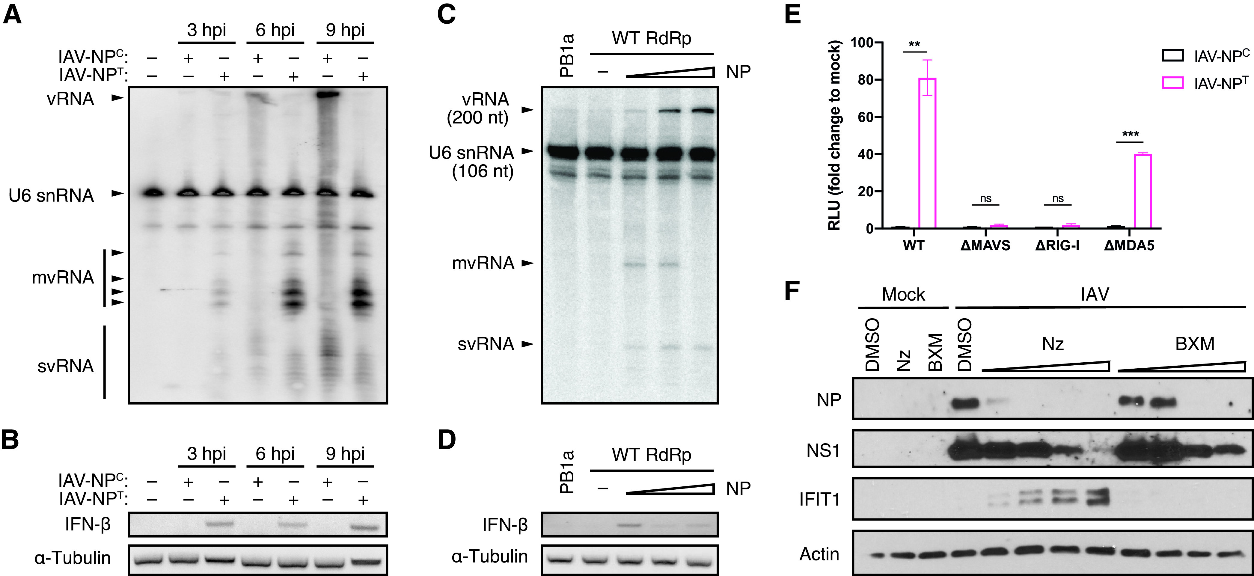 FIG 3