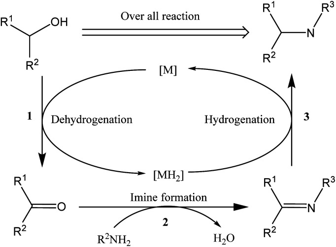 Scheme 1