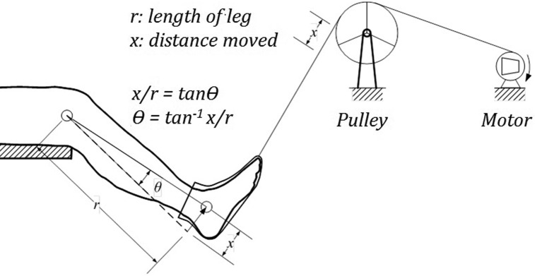 Figure 2.