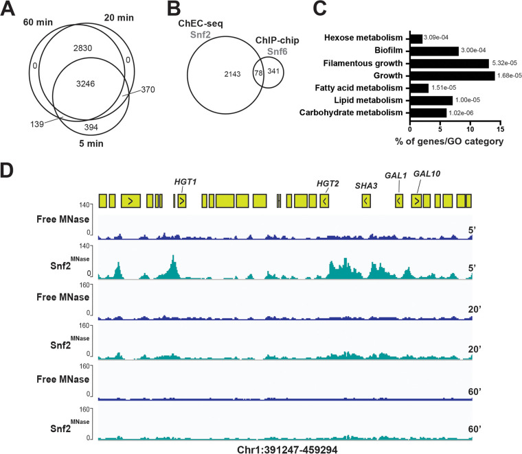 FIG 3