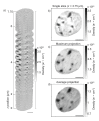 Fig. 4.