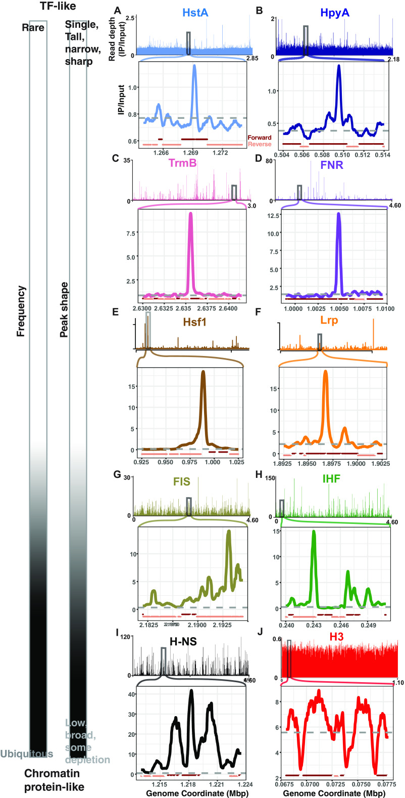 FIG 3