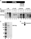 FIG. 2.