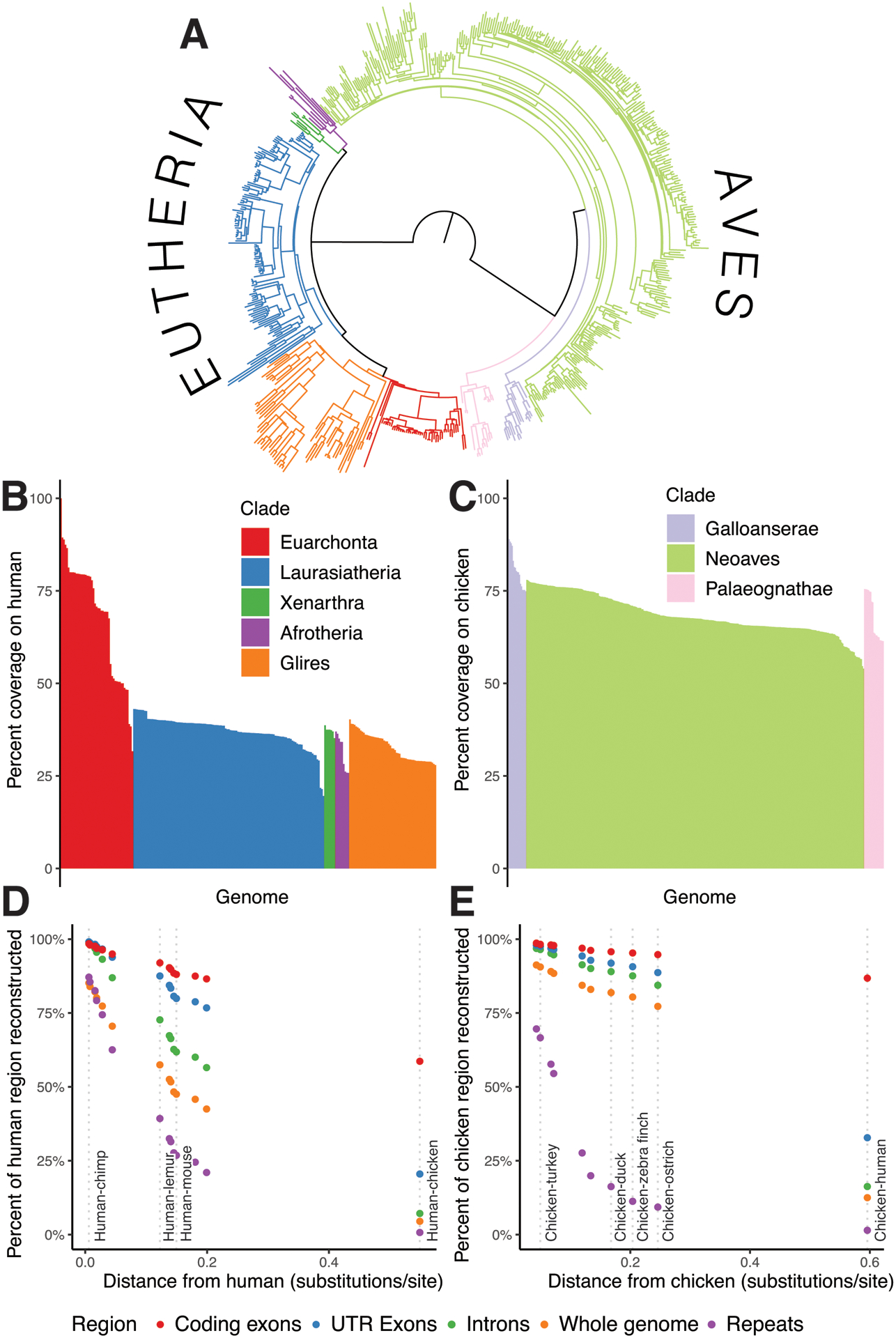 Figure 3: