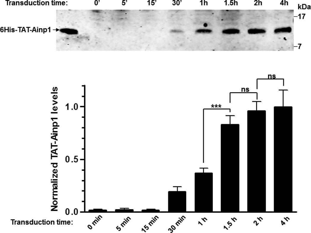 Fig. 3