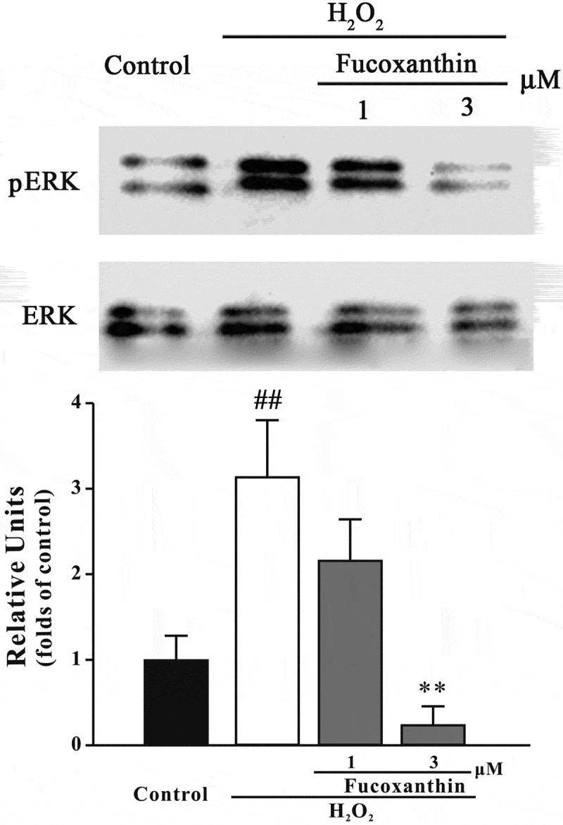 Figure 10. 