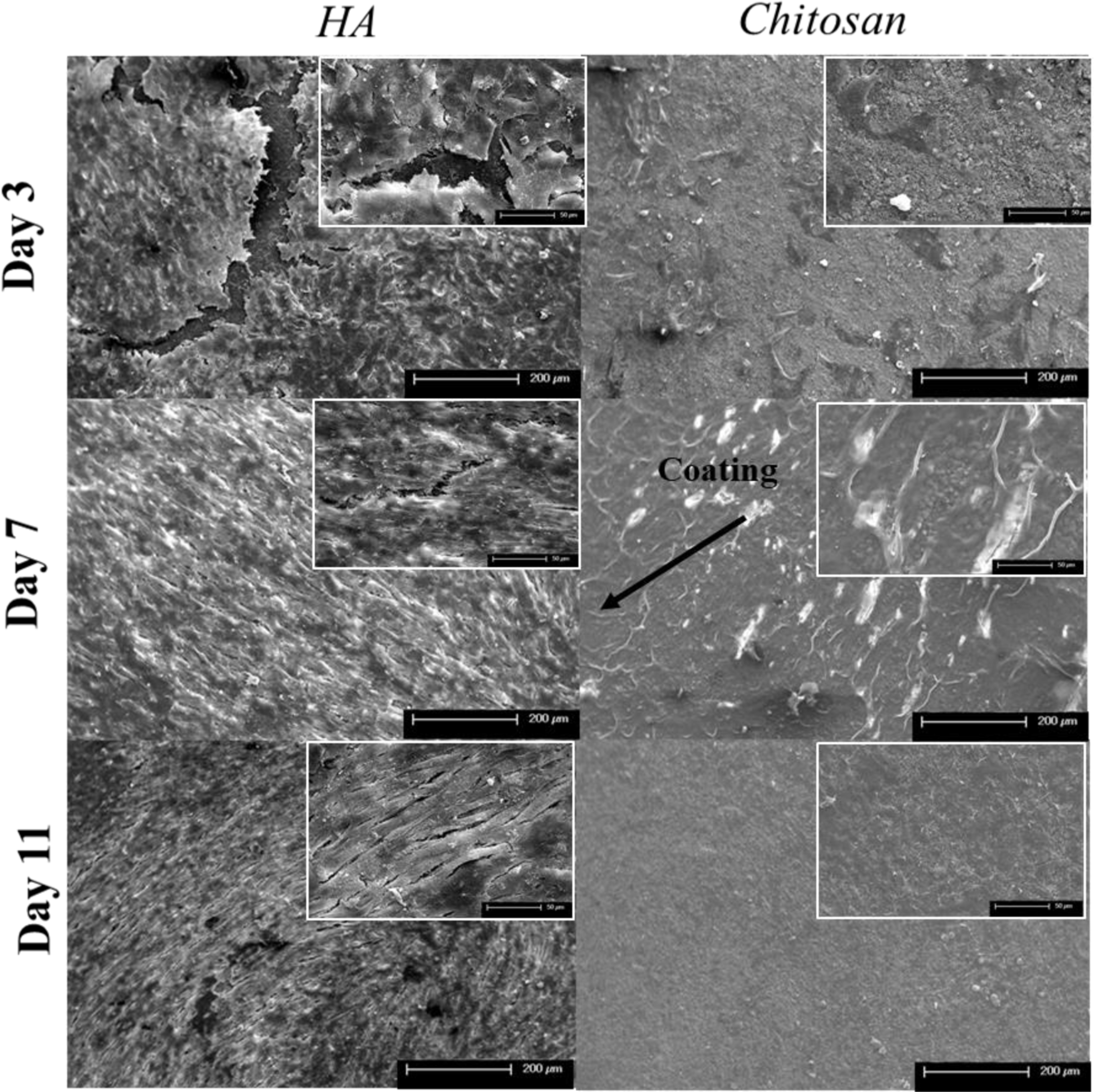 Figure 9: