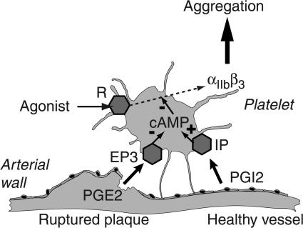 Figure 7.