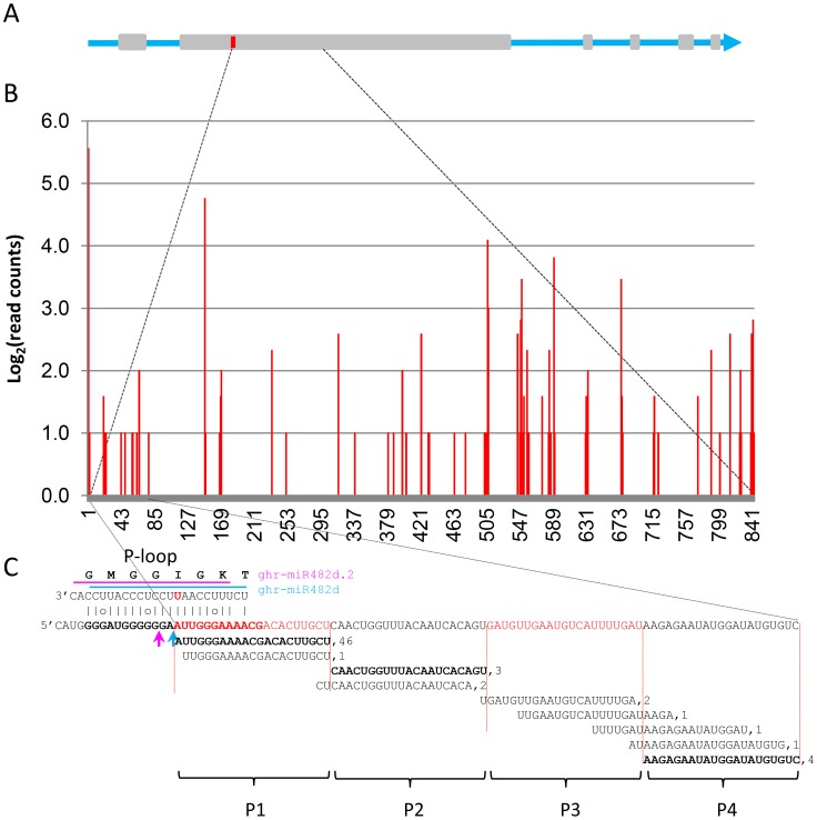 Figure 5