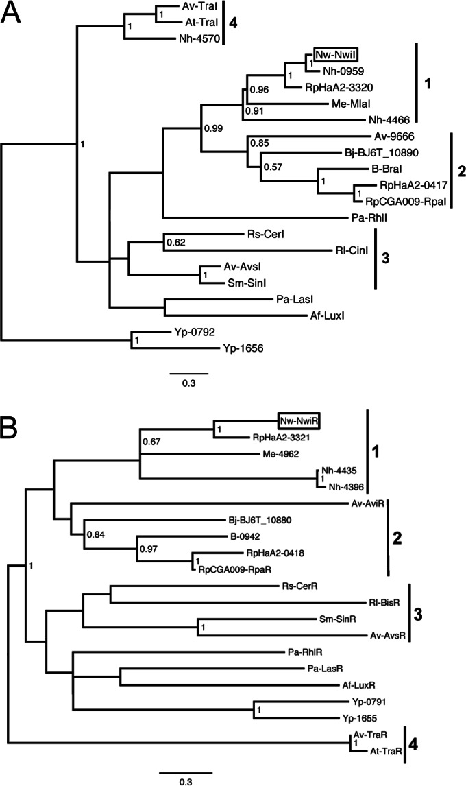 FIG 1