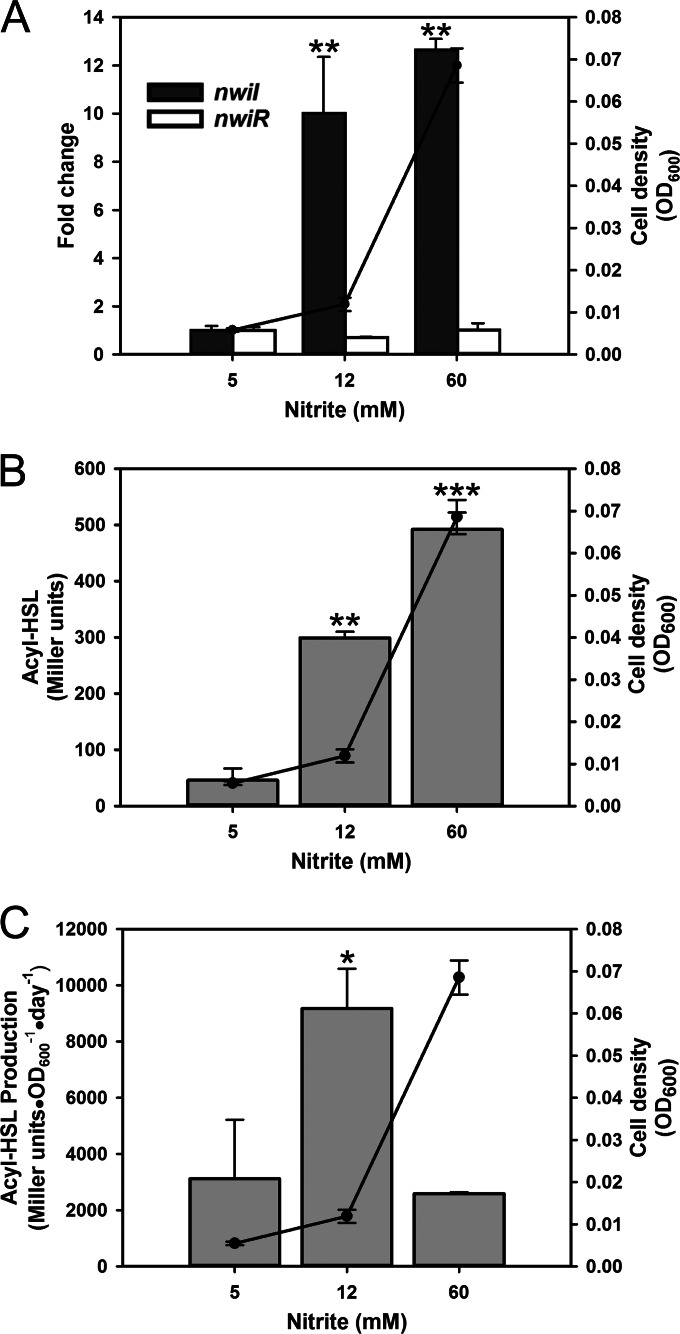 FIG 2