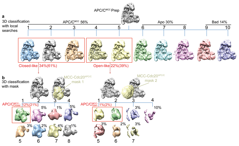 Extended Data Figure 4