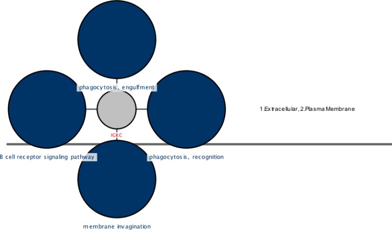 Figure.3.