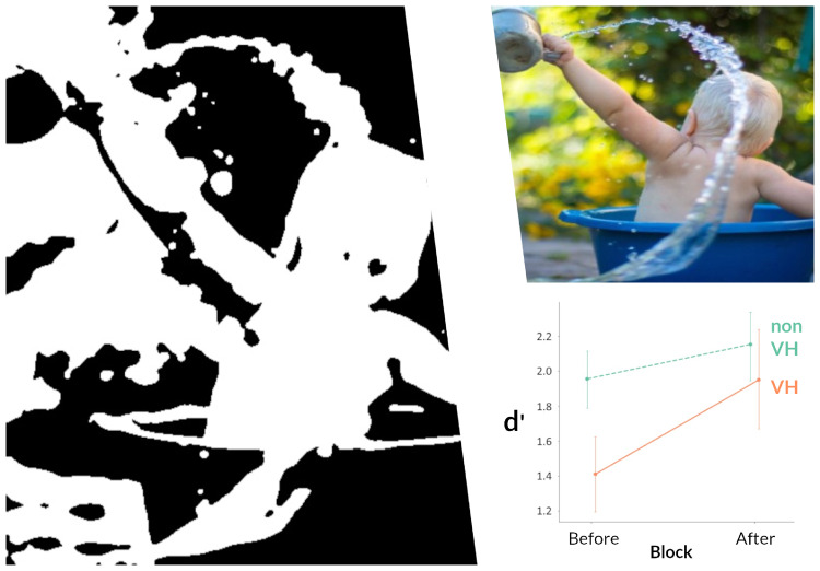 Graphical Abstract