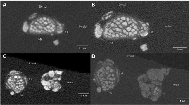 FIGURE 3