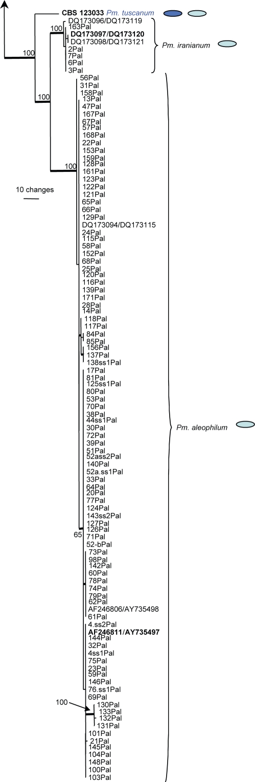 Fig. 5