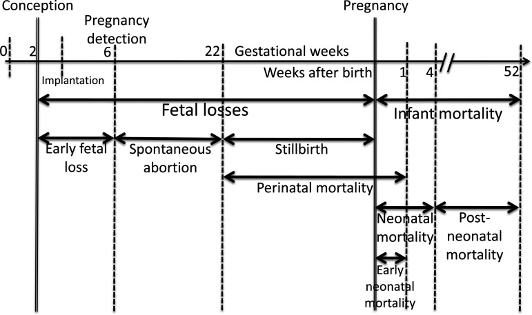 Figure 4.