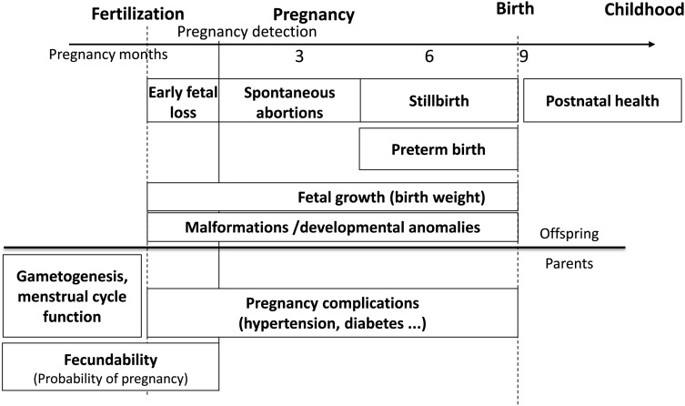 Figure 1.