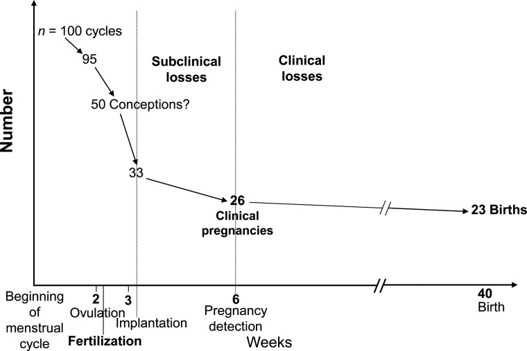 Figure 2.