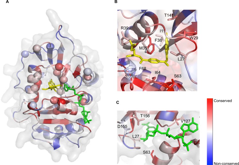 Fig 4