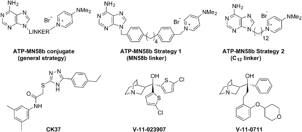 Fig. 6